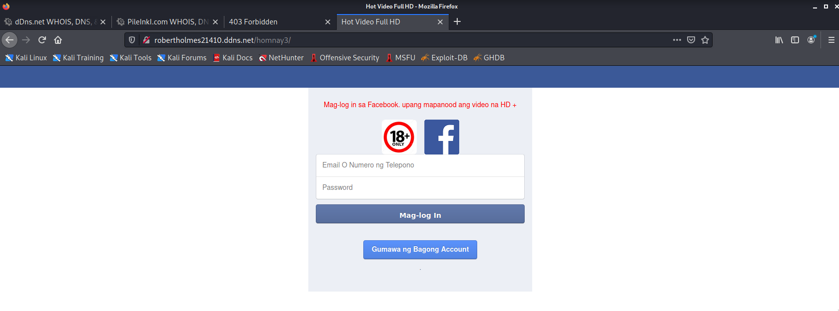 checking-the-fb-phishing-site-06